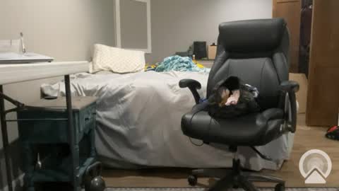 sissyryan3 online show from 01/21/25, 12:46