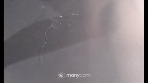 Sissyslut6111 online show from 12/26/24, 06:54