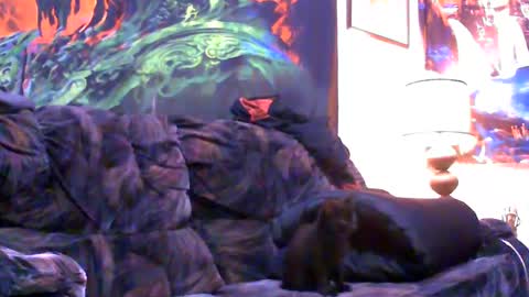 Snapshot of six_will_do chatting on 01/04/25, 05:05 Jimmy B online show from 01/04/25, 05:05