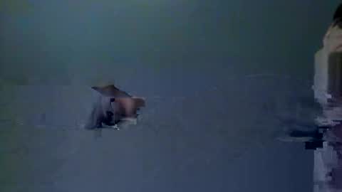 Snapshot of skeeter4fun73 chatting on 12/20/25, 01:40 skeeter4fun73 online show from 12/20/25, 01:40