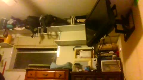 skewedviewblue online show from 12/05/25, 03:37