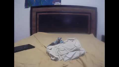 Snapshot of skinny_long_cock chatting on 04/14/26, 01:44 Albert online show from 04/14/26, 01:44