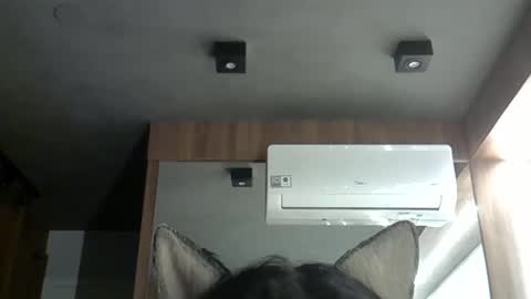 skinnykittencam online show from 10/20/25, 01:39