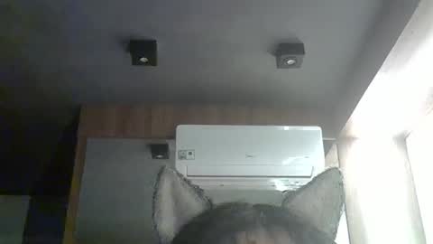 skinnykittencam online show from 01/11/26, 12:26