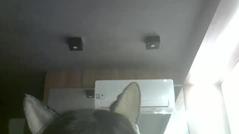 Snapshot of skinnykittencam chatting on 05/10/26, 06:51 skinnykittencam online show from 05/10/26, 06:51
