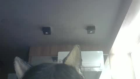 Snapshot of skinnykittencam chatting on 05/14/26, 09:05 skinnykittencam online show from 05/14/26, 09:05