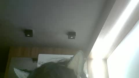 Snapshot of skinnykittencam chatting on 05/20/26, 02:29 skinnykittencam online show from 05/20/26, 02:29