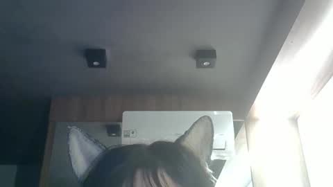 Snapshot of skinnykittencam chatting on 05/26/26, 09:38 skinnykittencam online show from 05/26/26, 09:38