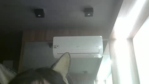 Snapshot of skinnykittencam chatting on 05/26/26, 11:01 skinnykittencam online show from 05/26/26, 11:01