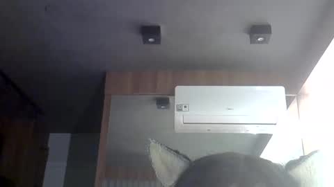 Snapshot of skinnykittencam chatting on 05/30/26, 06:54 skinnykittencam online show from 05/30/26, 06:54