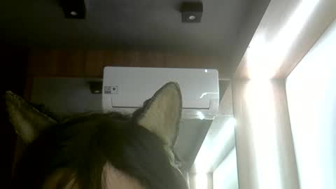 Snapshot of skinnykittencam chatting on 06/07/26, 05:38 skinnykittencam online show from 06/07/26, 05:38