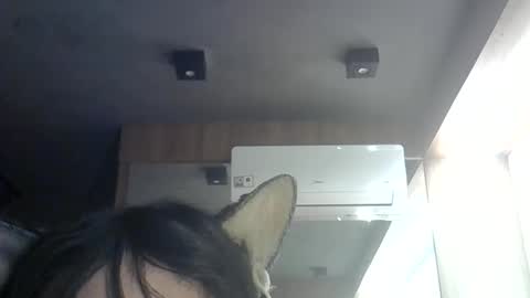 Snapshot of skinnykittencam chatting on 06/11/26, 12:54 skinnykittencam online show from 06/11/26, 12:54