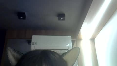 Snapshot of skinnykittencam chatting on 06/16/26, 08:50 skinnykittencam online show from 06/16/26, 08:50