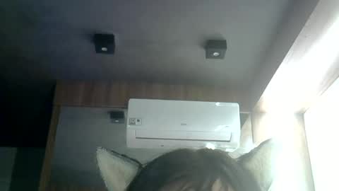 Snapshot of skinnykittencam chatting on 06/25/26, 03:39 skinnykittencam online show from 06/25/26, 03:39