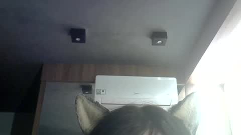 Snapshot of skinnykittencam chatting on 06/25/26, 05:12 skinnykittencam online show from 06/25/26, 05:12