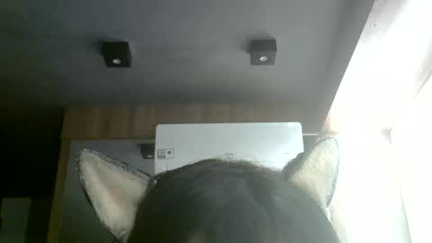 Snapshot of skinnykittencam chatting on 07/04/26, 05:35 skinnykittencam online show from 07/04/26, 05:35