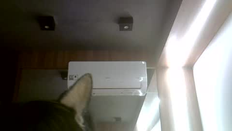 Snapshot of skinnykittencam chatting on 07/20/26, 11:45 skinnykittencam online show from 07/20/26, 11:45