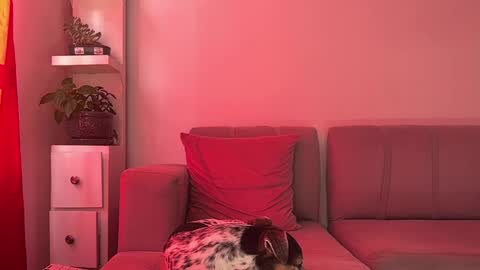 Snapshot of skinnylatin69 chatting on 01/15/25, 07:34 skinnylatin69 online show from 01/15/25, 07:34