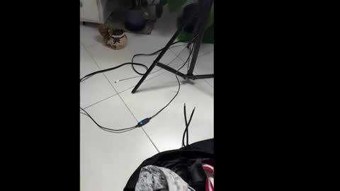 Snapshot of skinnylatin69 chatting on 01/20/25, 02:32 skinnylatin69 online show from 01/20/25, 02:32