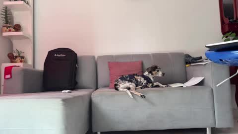 Snapshot of skinnylatin69 chatting on 01/31/25, 06:36 skinnylatin69 online show from 01/31/25, 06:36