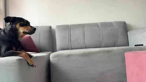 Snapshot of skinnylatin69 chatting on 02/03/25, 06:17 skinnylatin69 online show from 02/03/25, 06:17