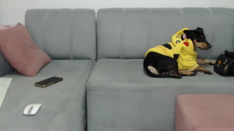 Snapshot of skinnylatin69 chatting on 02/08/25, 02:26 skinnylatin69 online show from 02/08/25, 02:26