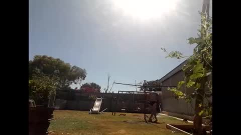 skip1975 online show from 12/29/24, 07:28