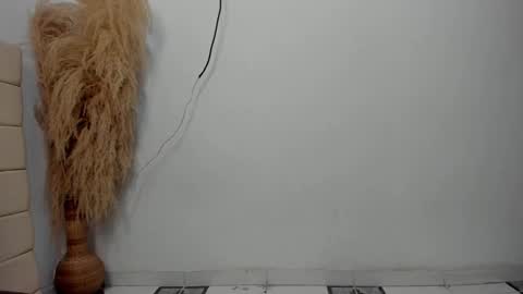 Snapshot of sky_dancer chatting on 12/17/25, 11:05 Reuben online show from 12/17/25, 11:05