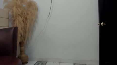 Snapshot of sky_dancer chatting on 12/22/25, 02:14 Reuben online show from 12/22/25, 02:14