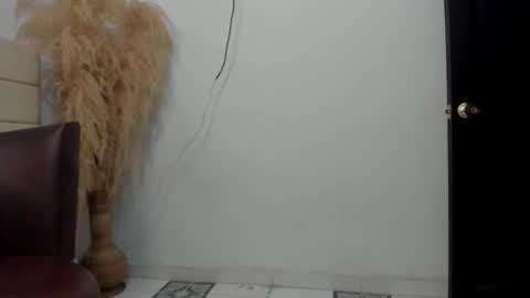 Snapshot of sky_dancer chatting on 12/23/25, 02:20 Reuben online show from 12/23/25, 02:20