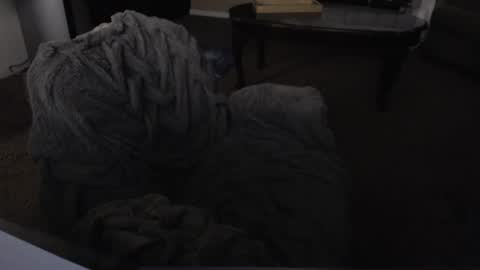 Snapshot of skyblu1 chatting on 01/26/25, 03:17 SKYLE online show from 01/26/25, 03:17