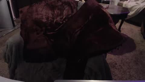 Snapshot of skyblu1 chatting on 09/24/25, 07:01 SKYLE online show from 09/24/25, 07:01