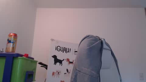 Skyler online show from 02/17/25, 09:08