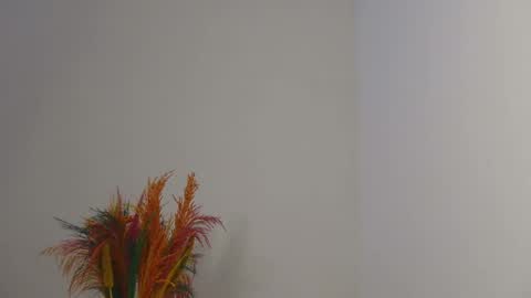 Snapshot of skyy_brown chatting on 02/03/25, 03:38 Bella online show from 02/03/25, 03:38