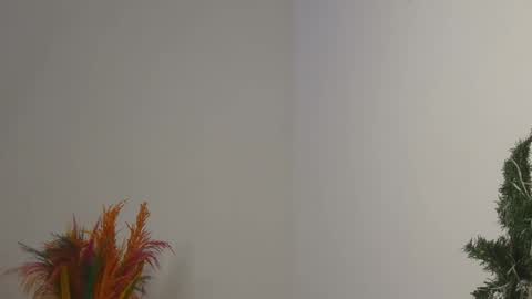 Snapshot of skyy_brown chatting on 02/04/25, 12:08 Bella online show from 02/04/25, 12:08