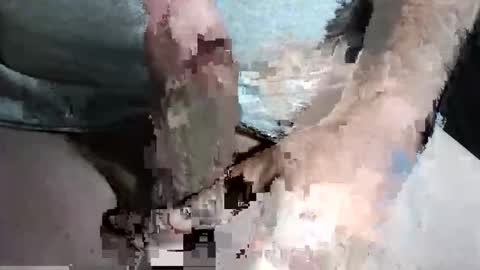 Snapshot of slash1710 chatting on 09/13/25, 10:31 Z online show from 09/13/25, 10:31