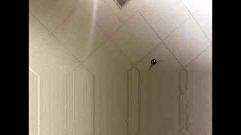 sleddog777 online show from 03/07/26, 09:45