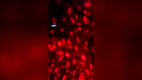 slicknick1988 online show from 05/27/26, 07:38