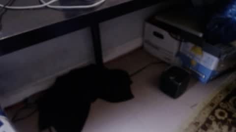 sliderguy699 online show from 04/09/26, 10:48