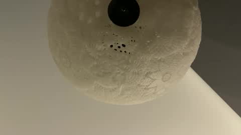 slimguy03 online show from 01/28/25, 03:25