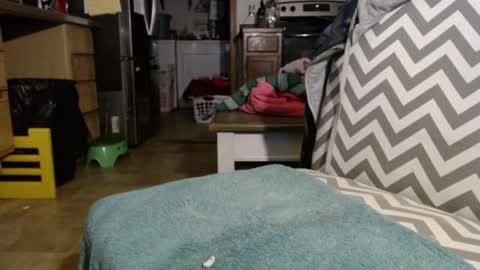 Snapshot of slum_daddy chatting on 11/30/25, 11:25 Slum Daddy online show from 11/30/25, 11:25