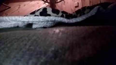 Snapshot of slurryyy chatting on 03/29/26, 01:38 slurryyy online show from 03/29/26, 01:38