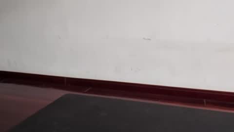 Snapshot of slutfactor chatting on 03/31/26, 06:36 slutfactor online show from 03/31/26, 06:36