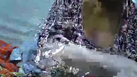 slutmeoutbb online show from 09/21/25, 05:36