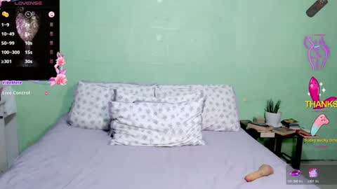 Snapshot of slutty_asian chatting on 06/29/26, 06:19 slutty asian-- online show from 06/29/26, 06:19