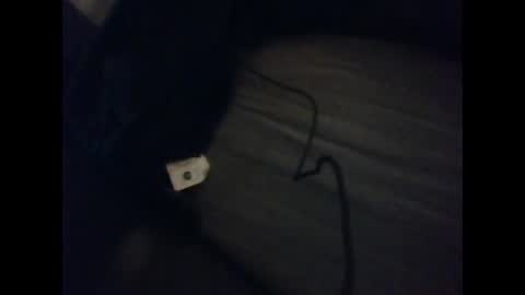 Snapshot of slutviki chatting on 10/28/25, 12:03 slutviki online show from 10/28/25, 12:03