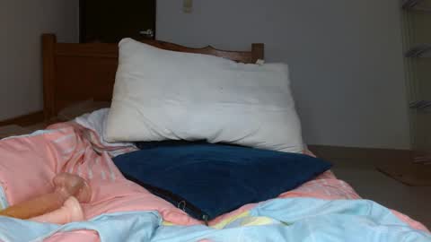 brenda online show from 10/20/25, 04:51