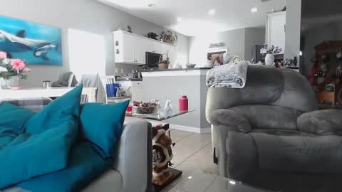 Daddy online show from 12/15/24, 07:31