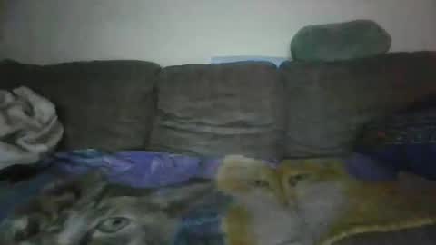 smaug6606 online show from 11/24/25, 06:46