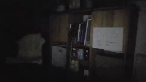 Snapshot of smiling_hillbilly chatting on 01/27/25, 04:30 smileing hillbilly online show from 01/27/25, 04:30